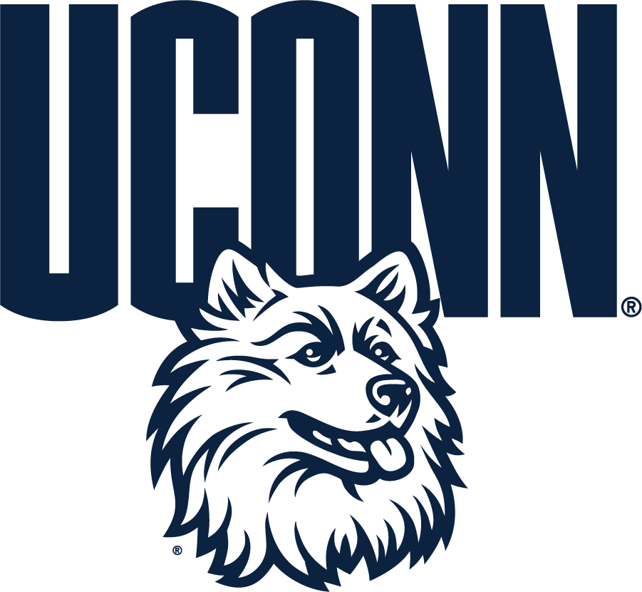 UConn Huskies 2010-2013 Secondary Logo v2 iron on transfers for T-shirts